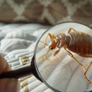 All Pest and Termite - Pest Control Equipment & Supplies