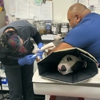 VCA PetMed Animal Hospital gallery