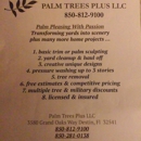 PALM TREES PLUS - Landscape Designers & Consultants