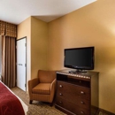 Comfort Suites Pearland - South Houston - Motels