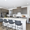 Lolich Farms - Taylor Morrison - Real Estate Developers