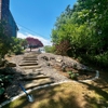 Reilly Tree & Landscape gallery