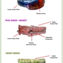 State of the Art Dental Group - Implant Dentistry