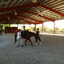 Naples Equestrian Challenge - Horse Equipment & Services