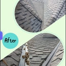 Bell Roof Care Inc. - Building Maintenance