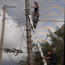 Palm Bay Tree Services