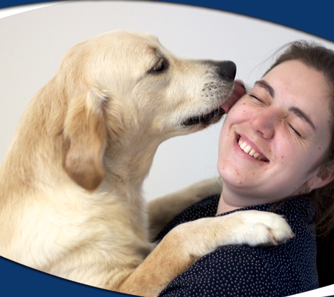 Para Hills Veterinary Clinic - Para Hills, SA. We Endeavour To Treat You And Your Pet With Care And Respect