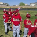 Paradise Hills Little League - Athletic Organizations