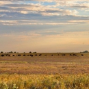Prairie City Crop Insurance - Insurance
