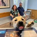 Ormond Beach Family Vet - Veterinarians