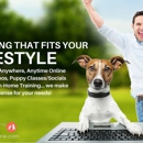 DogSense Online - Pet Training