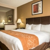 Comfort Suites Lumberton North gallery