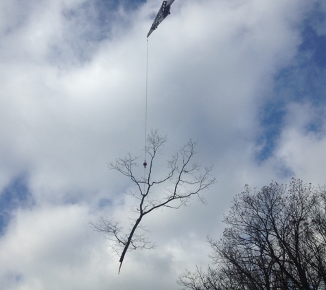 Kachur Tree Service - Niles, MI