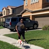 Auntie Lindy's Pet Care gallery