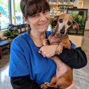 Aardvark Animal Hospital - Veterinary Clinics & Hospitals