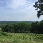 Clearview Vineyard