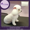 Runway Pet Grooming gallery