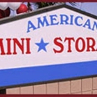 American Mini-Storage