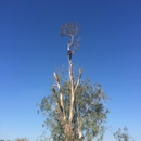 Valley Tree Care - Tree Service