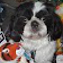 TLC Animal Hospital - Veterinary Clinics & Hospitals