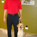 Elite Dog Detection - Pest Control Services