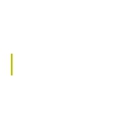Risk Placement Services - Management Consultants