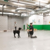 Throw Me A Bone Inc. / Dog Daycare, Grooming and Boarding gallery