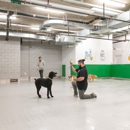 Throw Me A Bone Inc. / Dog Daycare, Grooming and Boarding