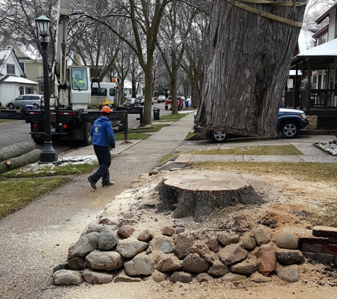 Twin City Tree Service - Saint Paul, MN. We used a 38 ton Crane to preserve the sidewalk and landscaping on this project.