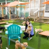 20th-Street-Grooming-And-Doggie-Daycare gallery