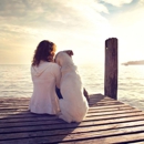 Angel Veterinary Services - At Home Pet Euthanasia - Veterinarians