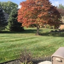 Absolute Lawn Care & Snow Removal - Landscaping & Lawn Services