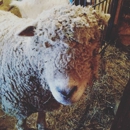 Maple Farm Sanctuary