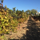 Kathryn Kennedy Winery - Wine