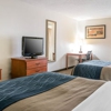 Comfort Inn gallery