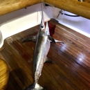 Stuart Big Game Fishing - Fishing Charters & Parties