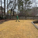 All Turf - Landscaping & Lawn Services