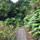Wahiawa Botanical Garden - Botanical Gardens