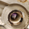Roto-Rooter Plumbing & Drain Services gallery