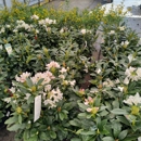 Kurtz Bros Mulch & Soils - Crushed Stone