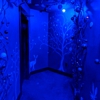 Broom Closet gallery