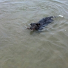 Shawnee Mission Park Visitor