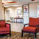 Quality Inn & Suites near St. Louis and I-255 - Motels