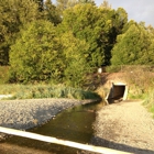 Meadowdale Beach Park