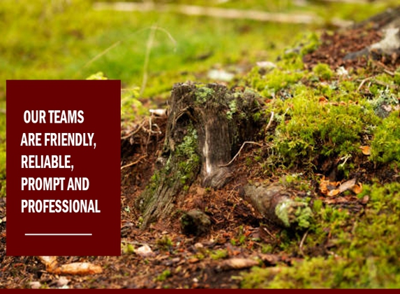 Brad Taylor Excavations & Tree Services. We All Together For High Quality Services