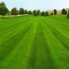 Quality Landscaping & Lawn gallery