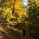 Black Rock Forest Consortium - Social Service Organizations