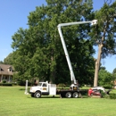 Couch Tree Service - Tree Service