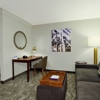 SpringHill Suites by Marriott Phoenix Glendale Sports & Entertainment District gallery