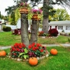 Williamstown Motel gallery